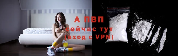 спайс Ельня