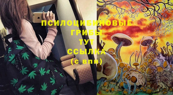 марки nbome Заводоуковск