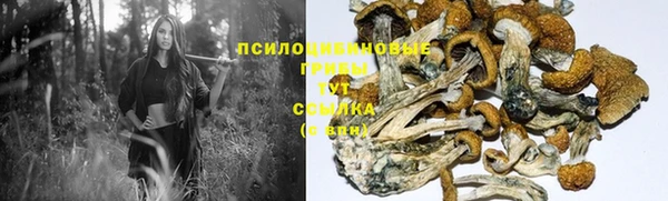 марки nbome Заводоуковск