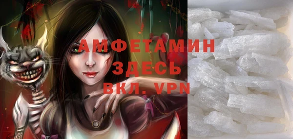 индика Елабуга
