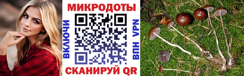 Купить закладки  Киселёвск  Галлюциногенные грибы GOLDEN TEACHER 